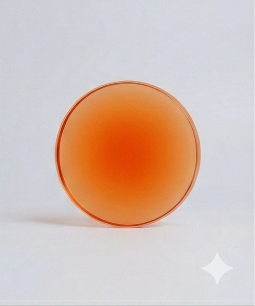 Portavasos Acrilicos